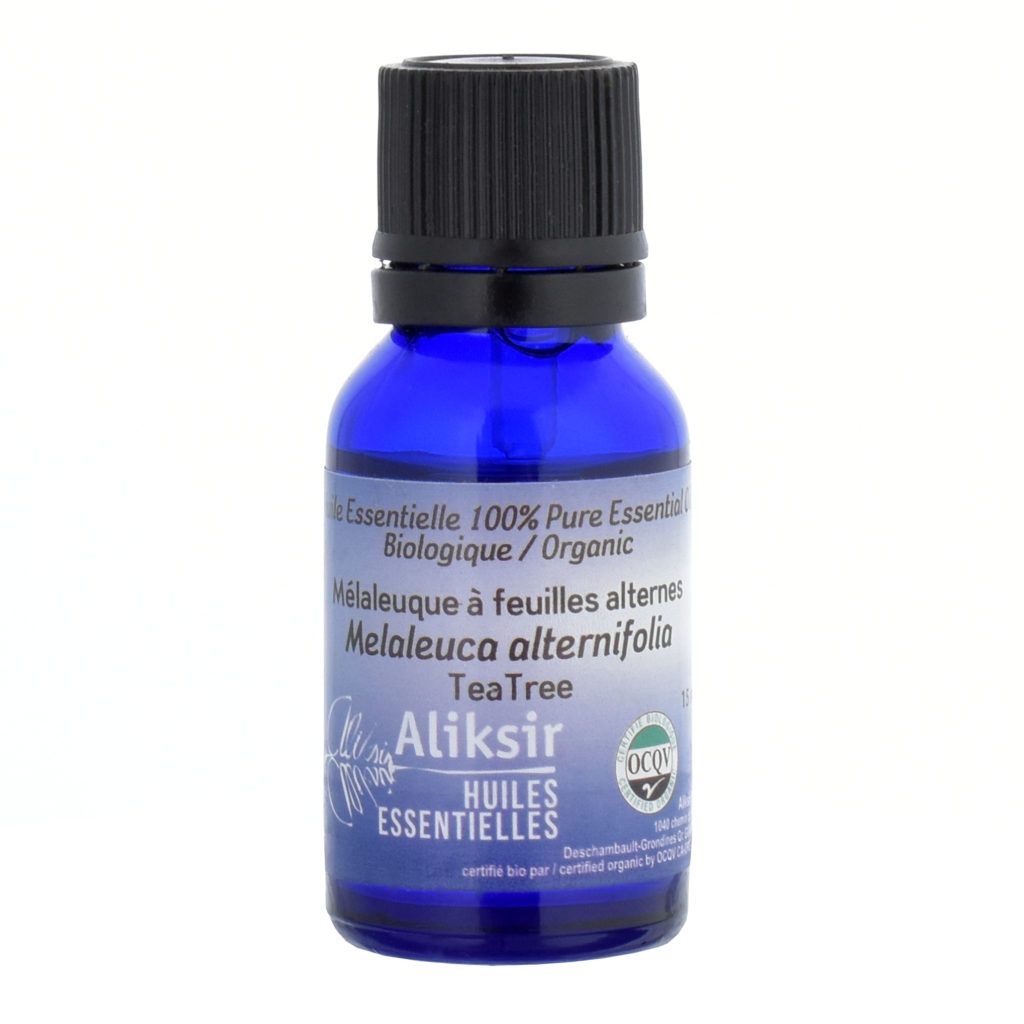 Melaleuca arbre à thé huiles essentielles