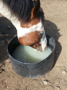 Scratch and clay